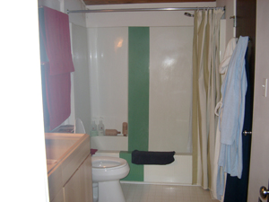 bathroom remodeling contractors cary 